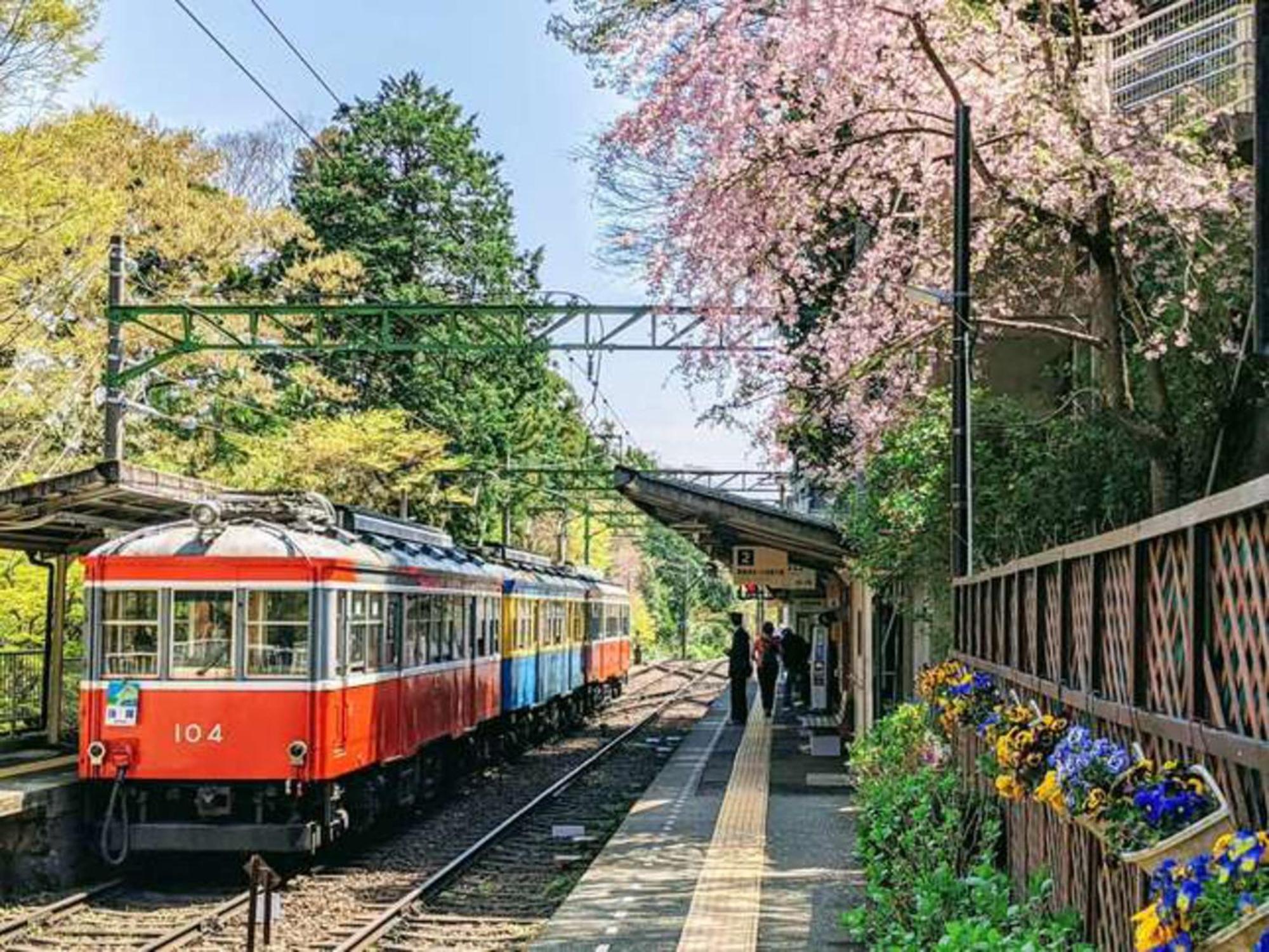 Hotel Morinokaze Hakone Sengokuhara Exteriör bild