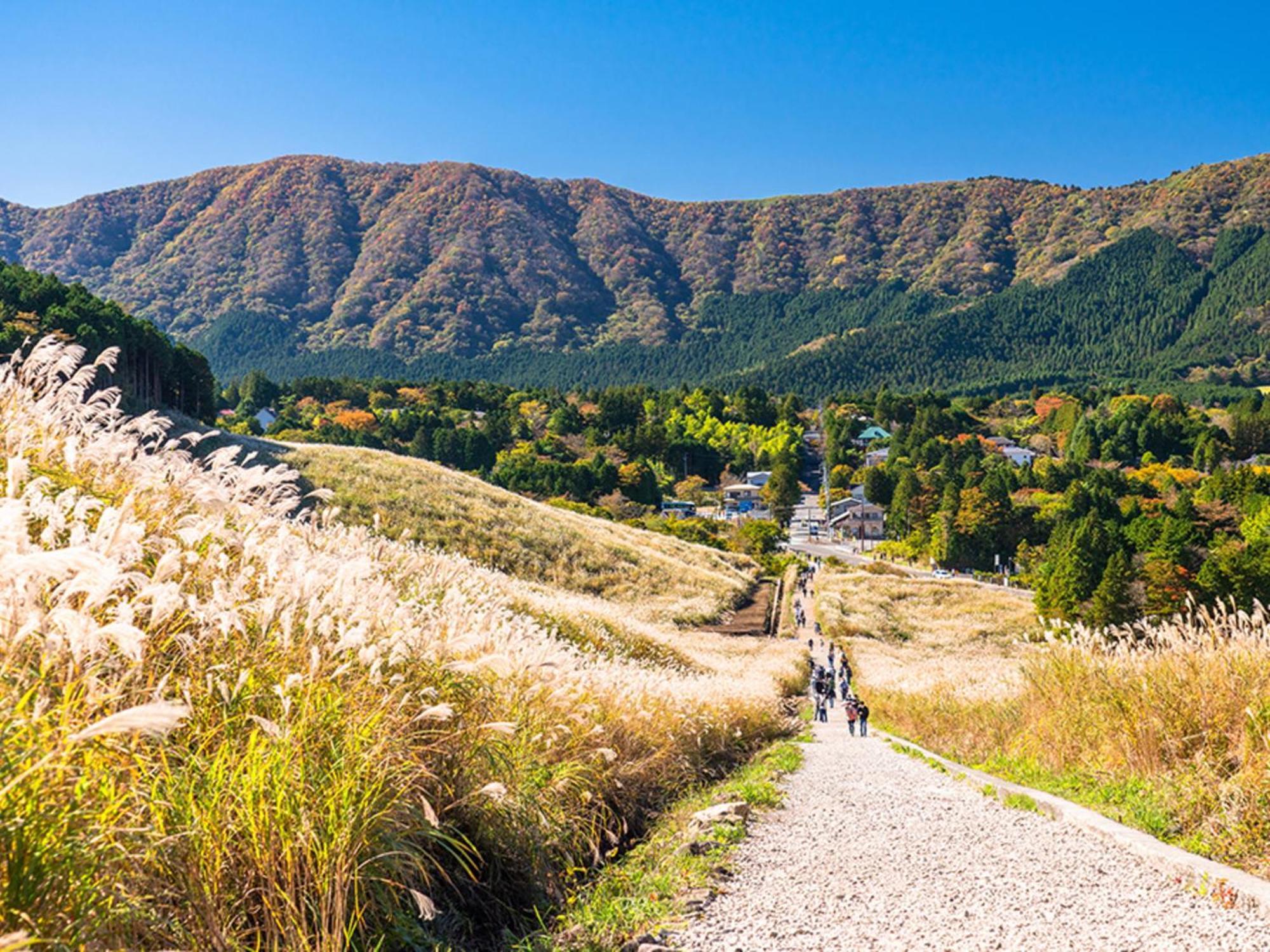 Hotel Morinokaze Hakone Sengokuhara Exteriör bild